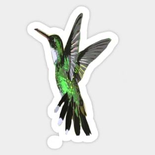 Humming bird Sticker